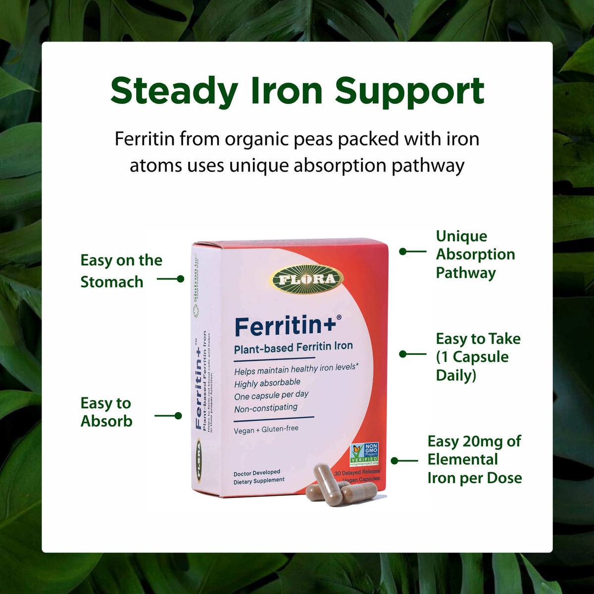 Flora Ferritin+ plant-based iron supplement
